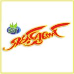 Logo-Supplier-shamshwetaung