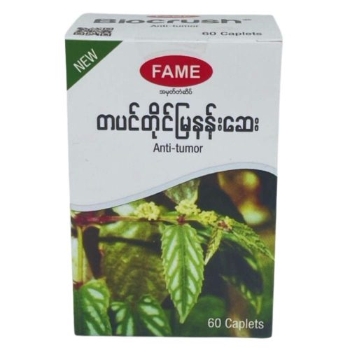 Fame-Ta-Pin-Tine-Mya-Nan